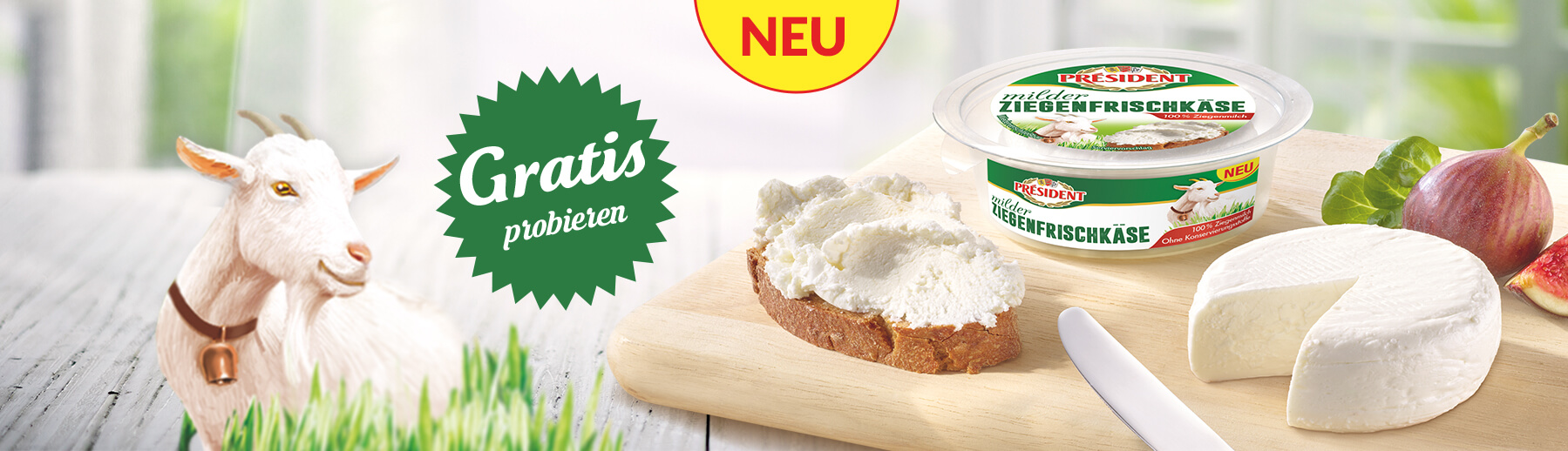 Gratis Probieren